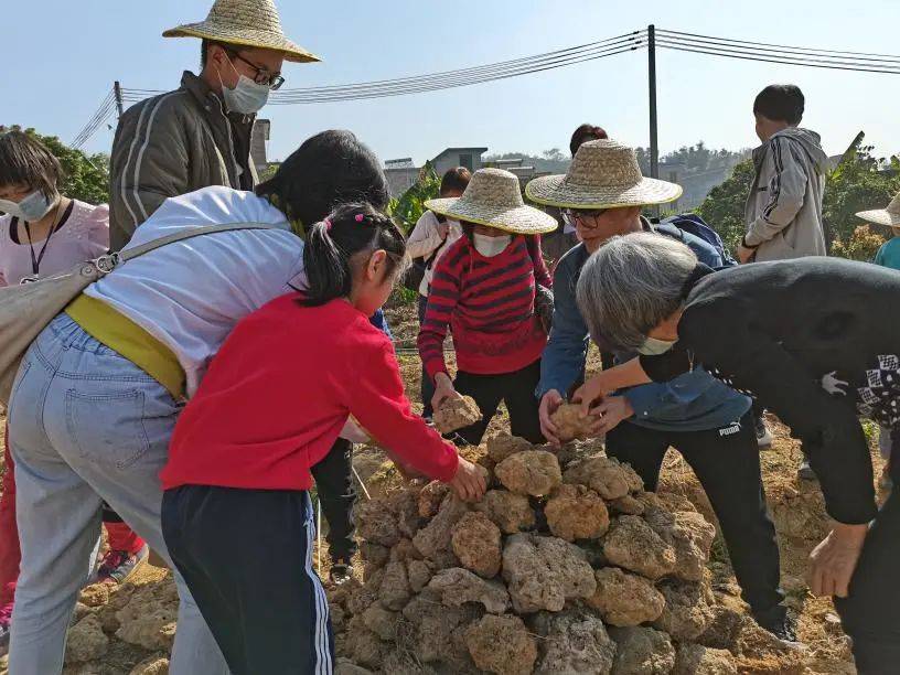 土窑怎么搭_土窑鸡图片