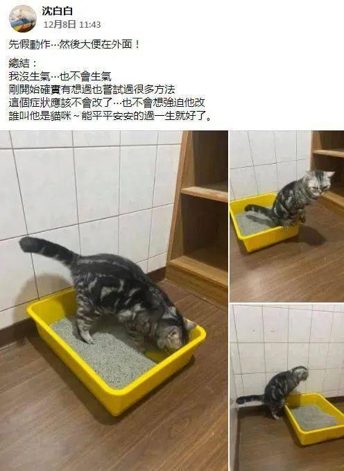 962a0324fe054b62a03846142416e943.jpeg