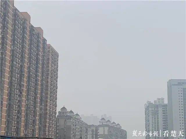 ac99a174a42147a38aa9bcd98186b3a3.jpeg