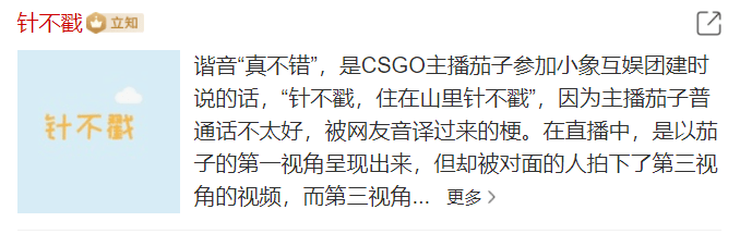 针 不 戳 释义:谐音梗,"针不戳"谐音"真不错".