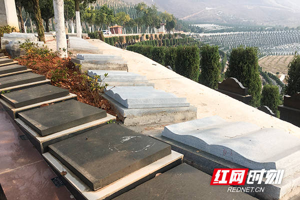 株洲市民政局全力推进殡葬改革 树立文明新风