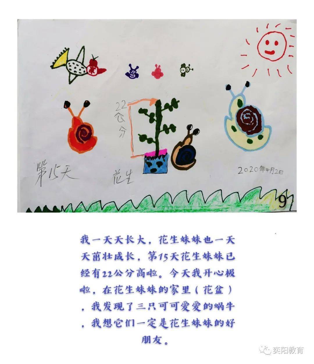 《种子成长的故事》--第十六届儿童自制图画书大赛作品展之七