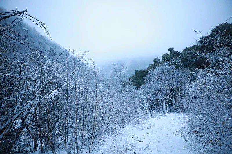 余杭鸬鸟山雪景