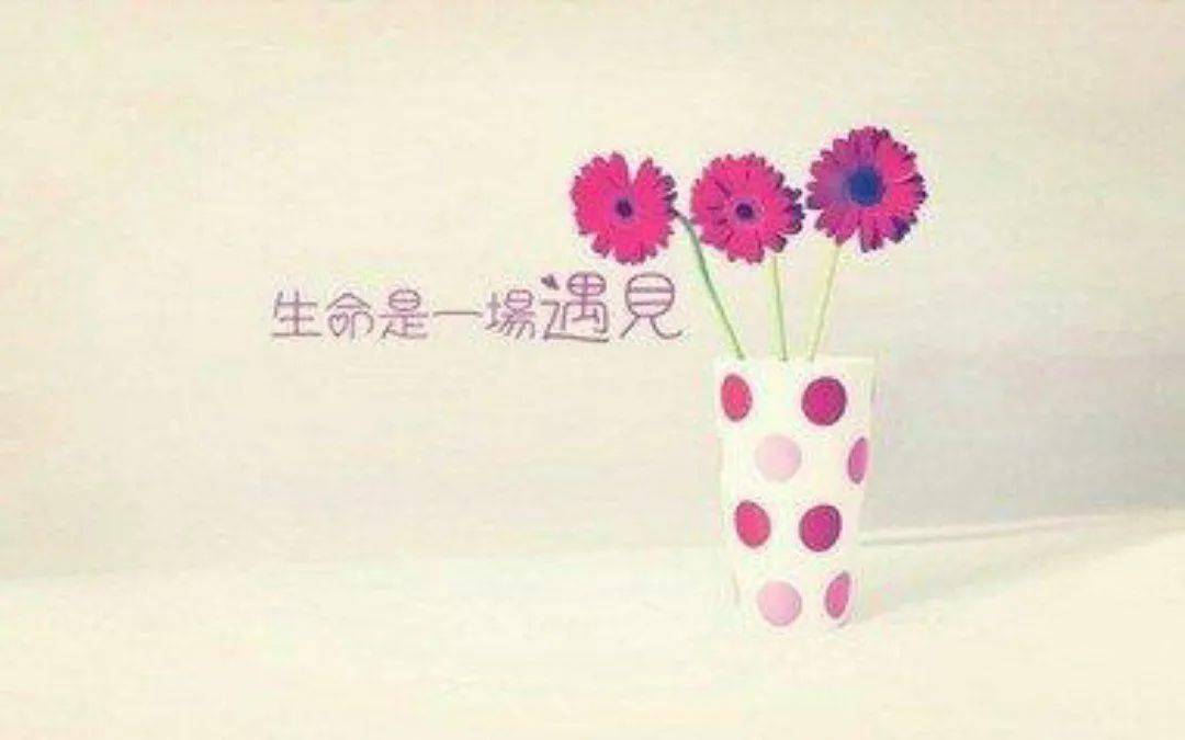 生命是一场遇见,2020,谢谢你来