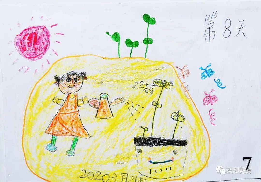 《种子成长的故事》--第十六届儿童自制图画书大赛作品展之七