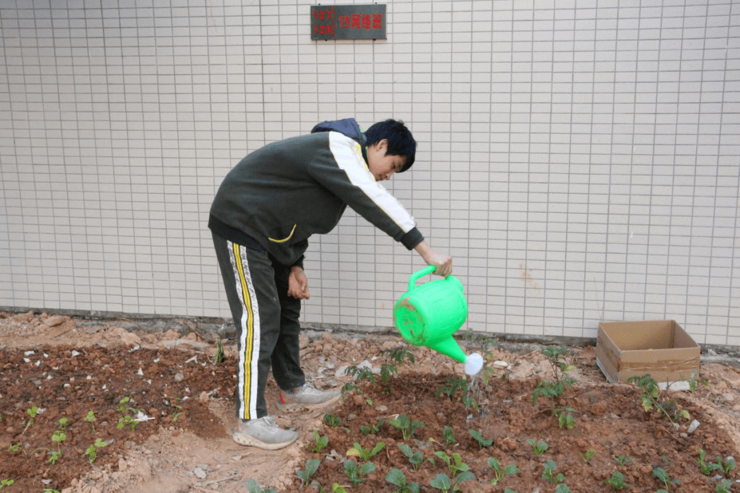 学校也有农场,你有体验过吗?——我校开展学生农场劳动实践活动
