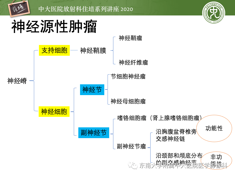 中大放射住培系列讲座头颈部神经源性肿瘤的影像诊断