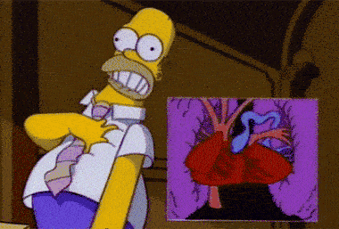 d7da07d72f9b4db1b7e39dd75fddca4d.gif