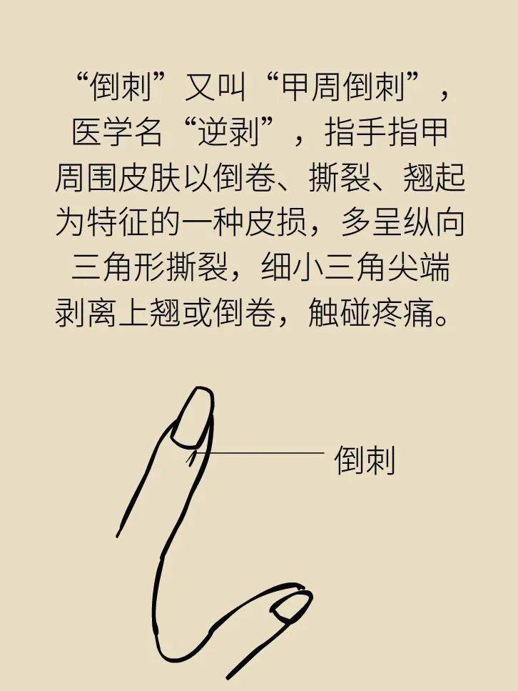 fc3dd234d8dd41e3acf97f267c22e7b5.jpeg