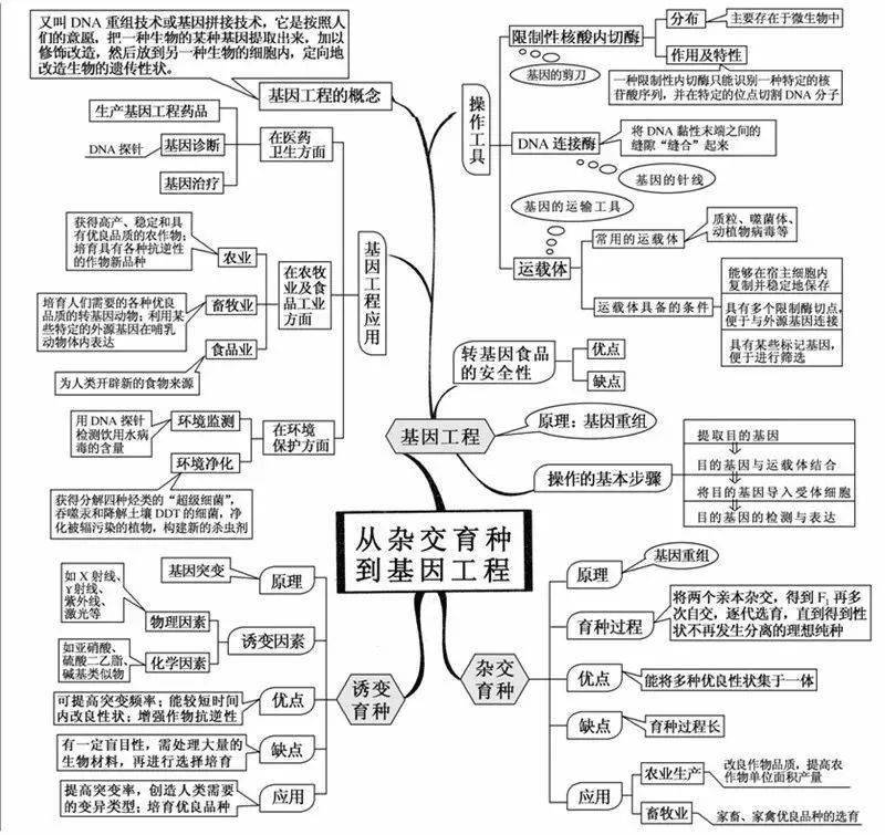 20张生物思维导图最全版本