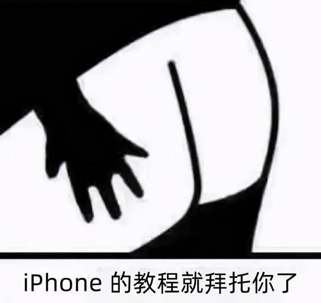 5431386a7bb5430898e6df6b3f962354.jpeg