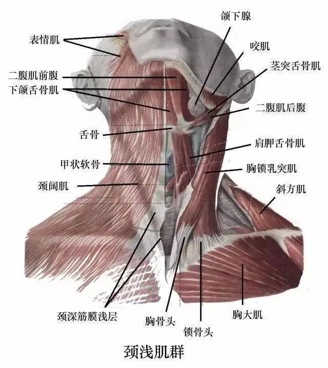 有效的颈椎养护