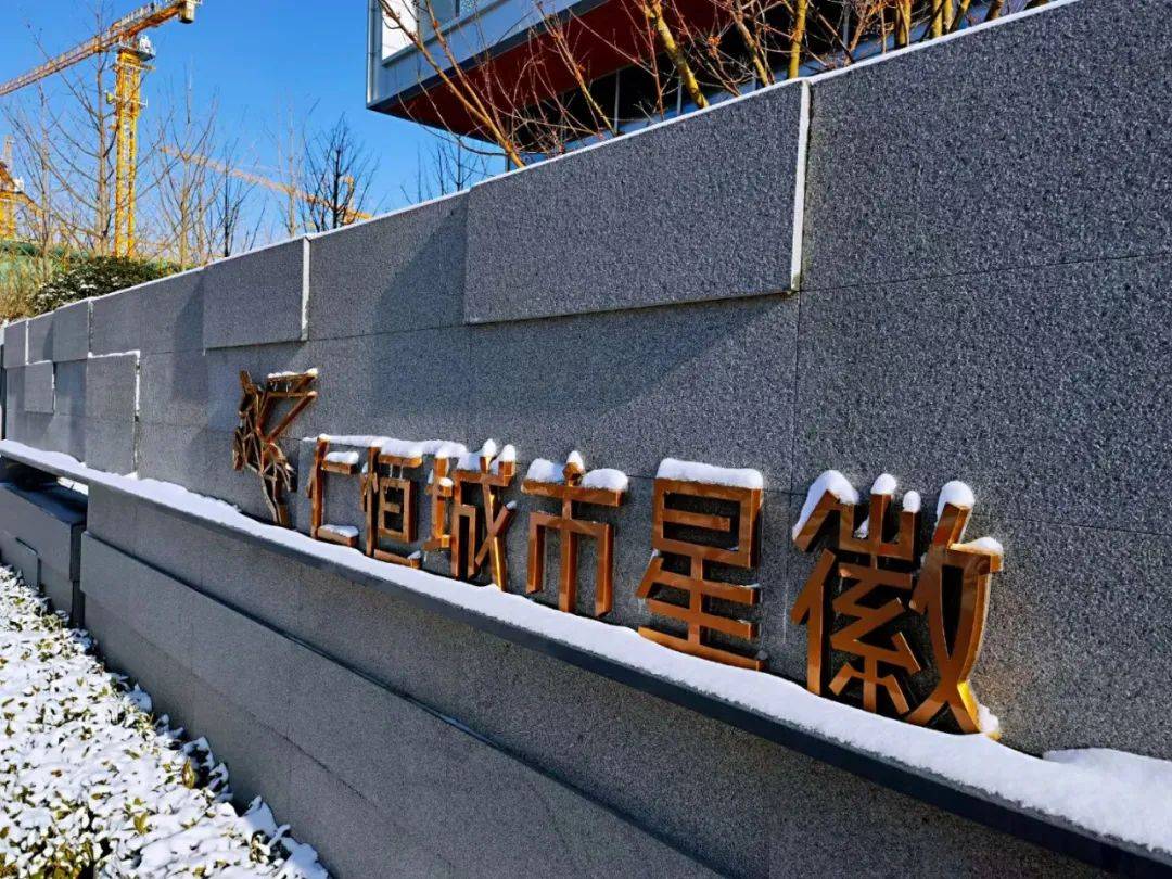 仁恒城市星徽一片雪白中"云筑礼序"寂然无声,积雪与绿色的灌木本就是