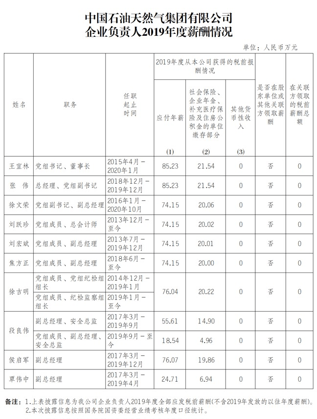 中石油老总年薪_中石油老总王宜林