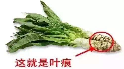 a5d5efbddb4f4b63b4dd5e901507ec95.jpeg
