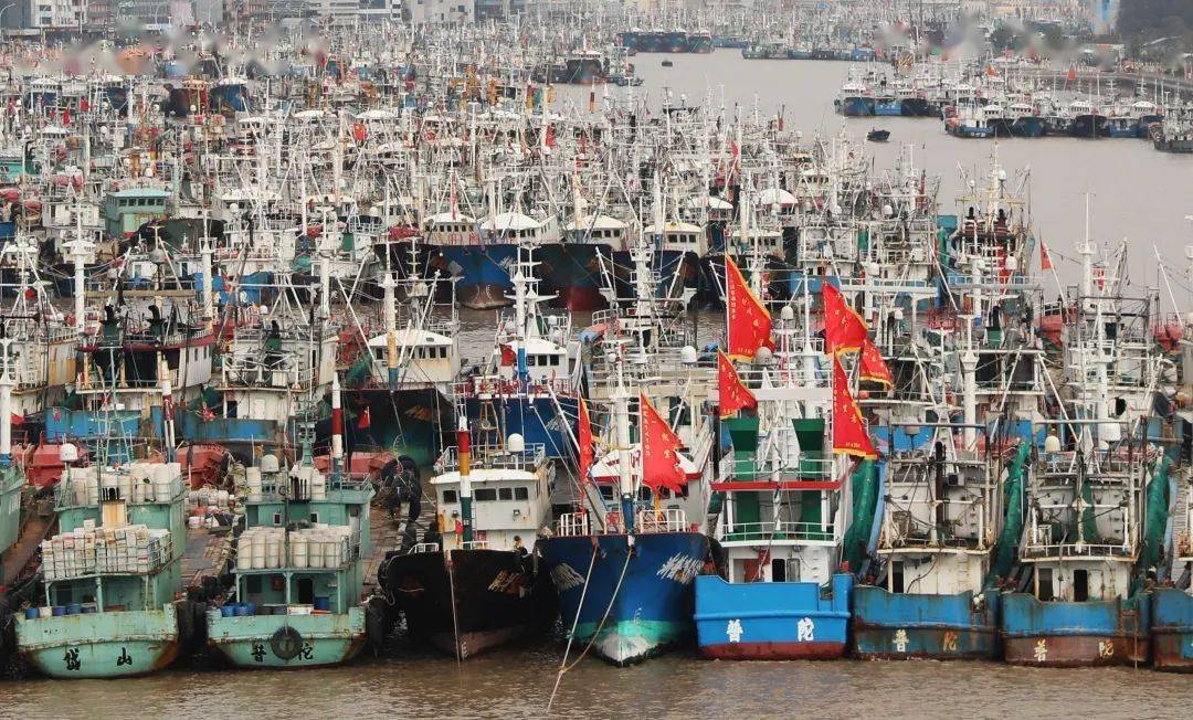及时组织渔船回港避风,全市海洋与渔业部门迅速行动,根据舟山市海洋