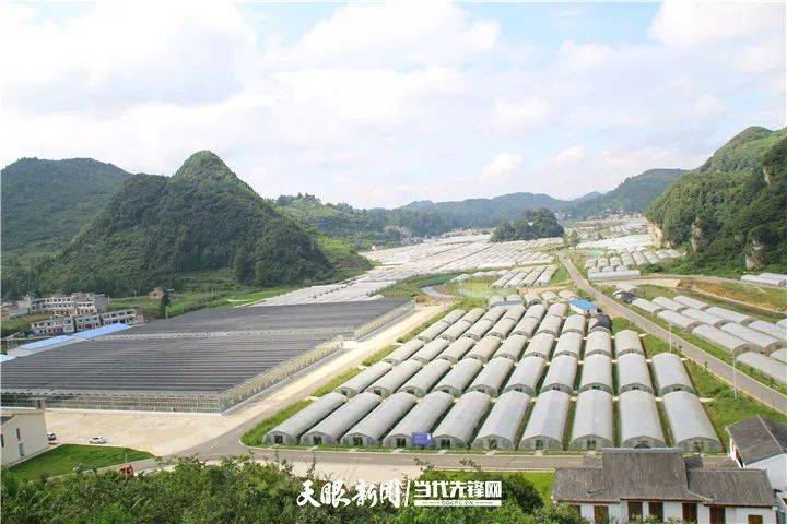 织金县猫场镇人口_织金县龙场镇图片(2)