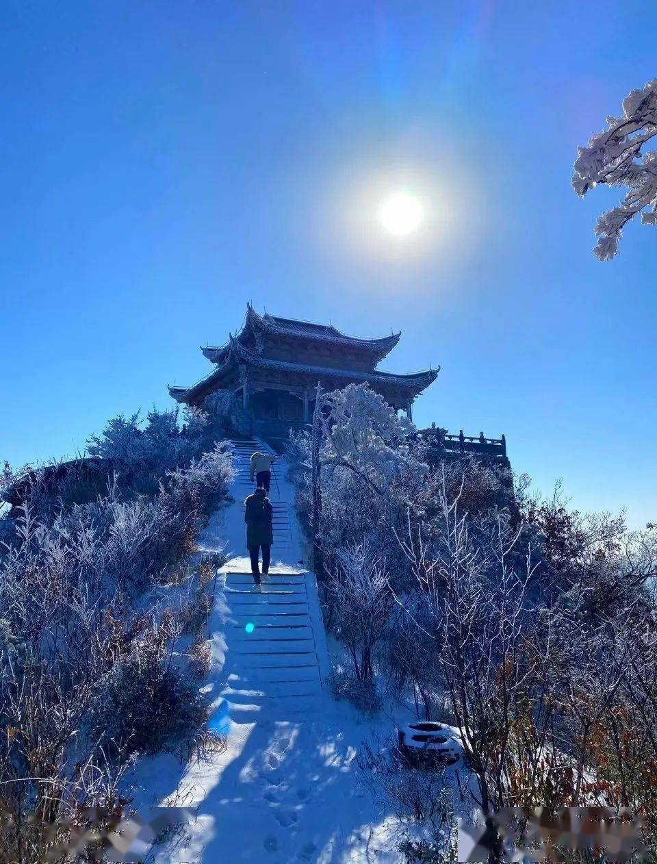 年终巨献——新县金兰山超美雪景大片,太美太梦幻!