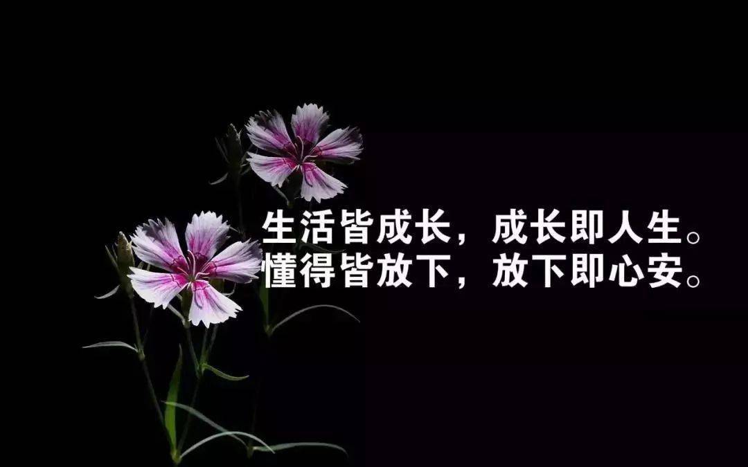 适合发朋友圈的一句话经典说说语录_事情