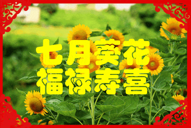 元旦到了,送你12个月的祝福!赶紧收好送家人!