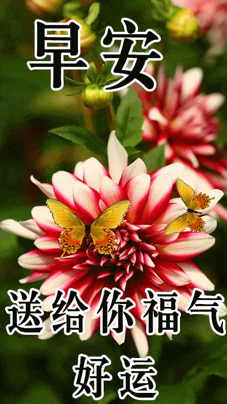 《早安心语》
