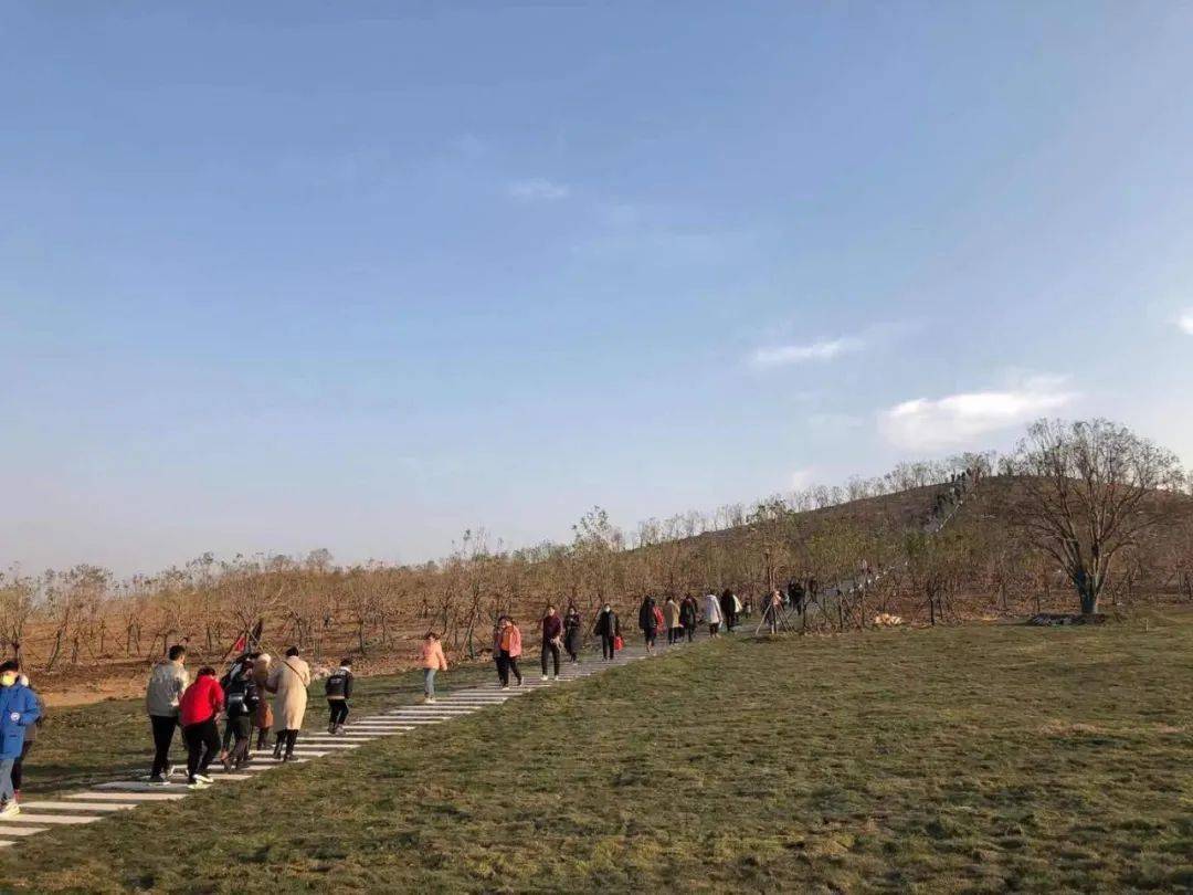 亳州人口2021_亳州2021年总体规划图