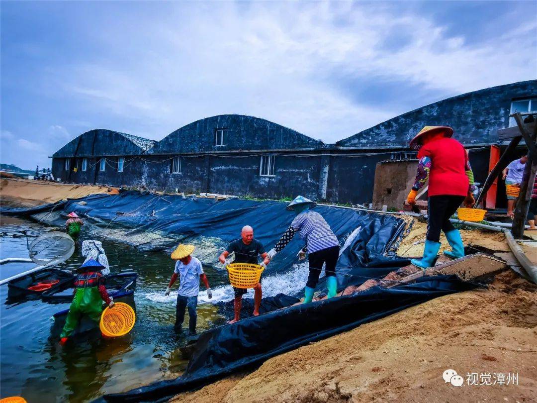 2020漳浦人口_漳州漳浦火山岛度假村