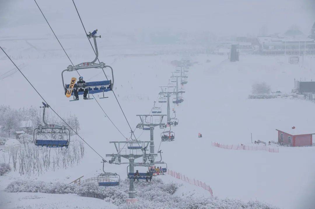 谈球吧体育爆红的滑雪大多中国人不过装装样子(图14)