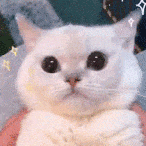 80多个抖音超火表情包:漂亮的女孩子,连胸都是a!