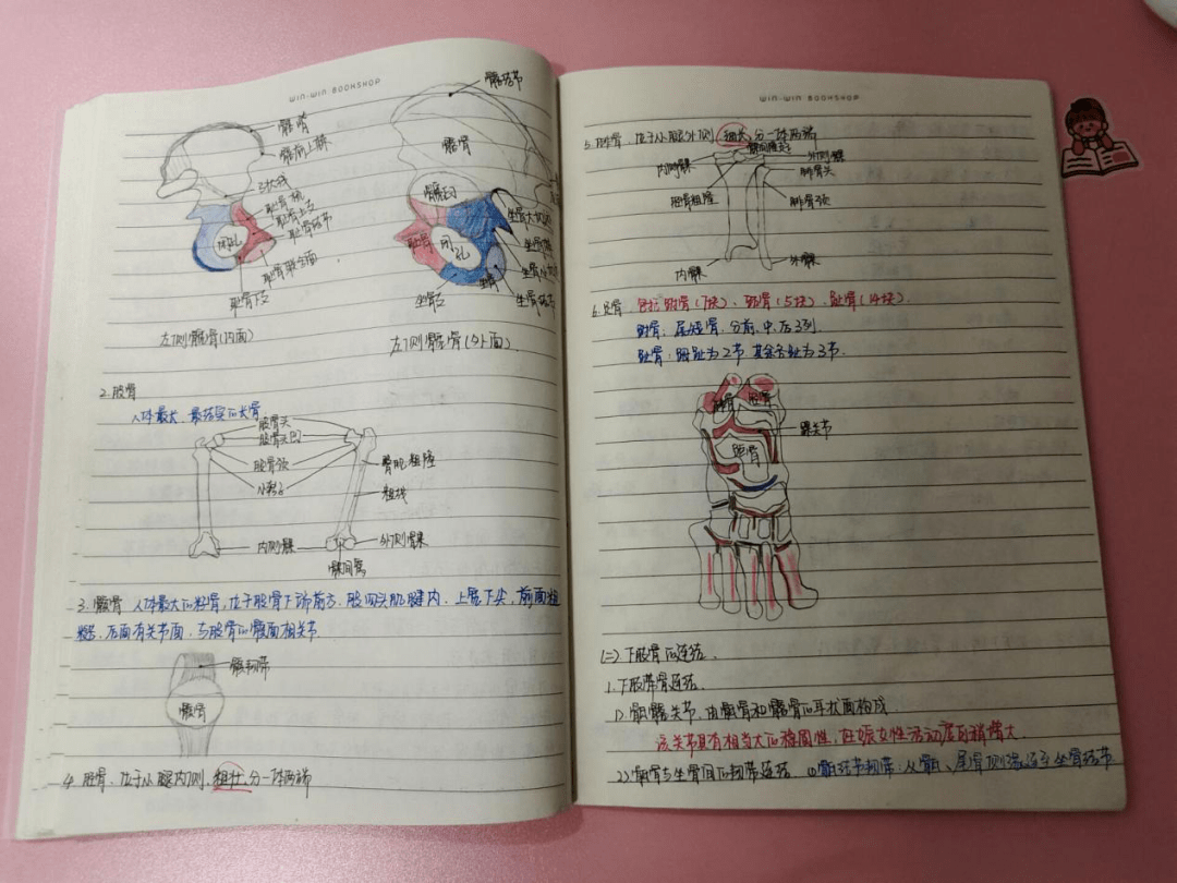 基础护理教案后记怎么写_教案教学后记怎么写_人教版九年级思想品德第十课第一框教案及教学后记