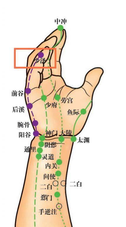 【定位】小指尺侧指甲根角旁0.1寸.