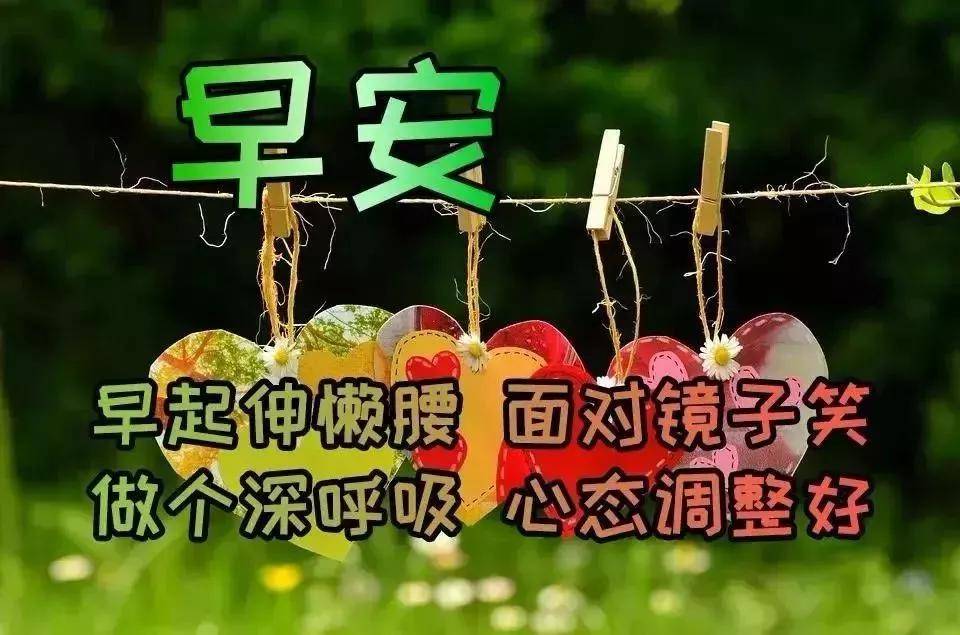 早晨问安:有种问候,清清淡淡,却最真诚,早安