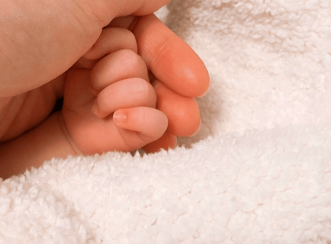 《是我们干的》又变成了可爱系女子校生新里今宵.