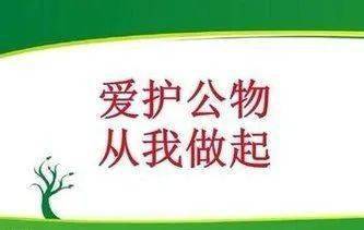 沋小61动态沋西小学爱护公物倡议书