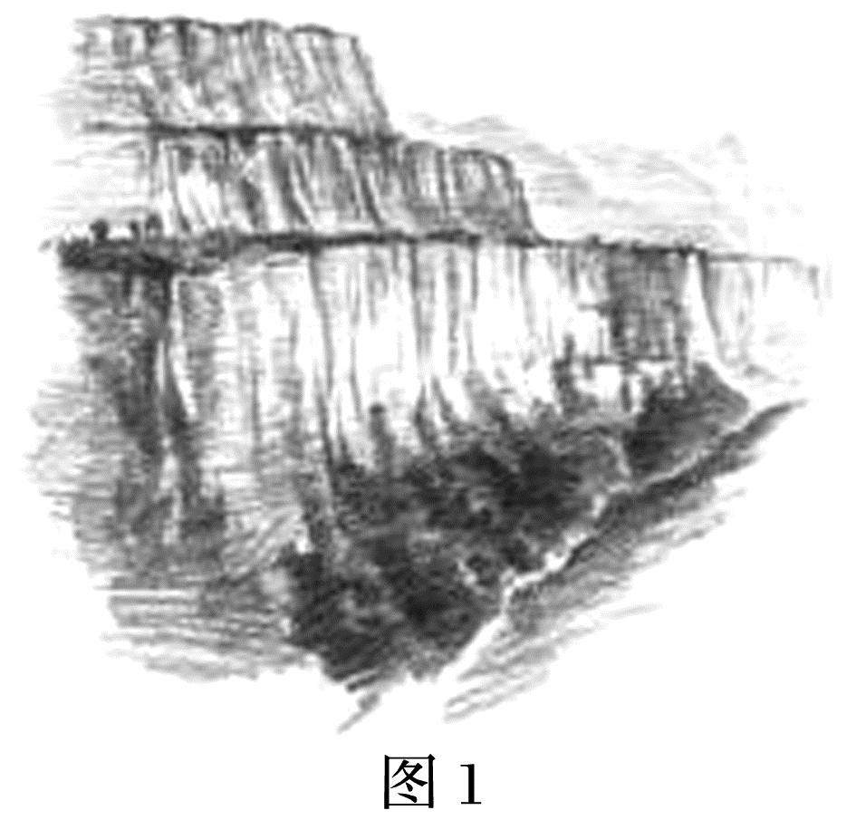 试题中国：嶂石岩地貌的形成机制（鸟瞰中国延伸版）