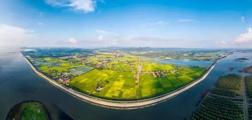 GDP添绿_爱绿护绿手抄报