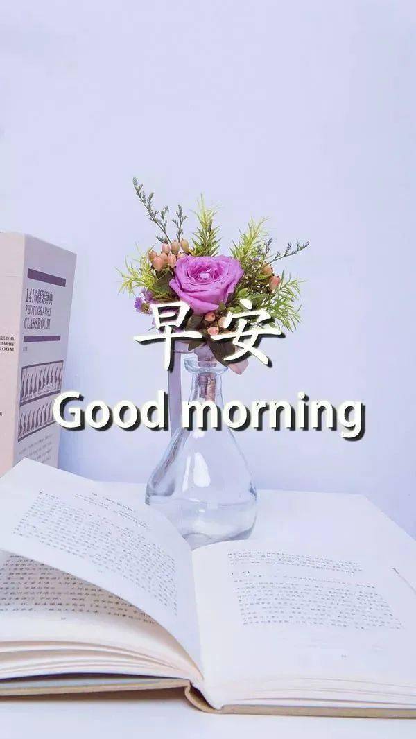 477d4f08930843f29bfc41a52eb7e317.jpeg