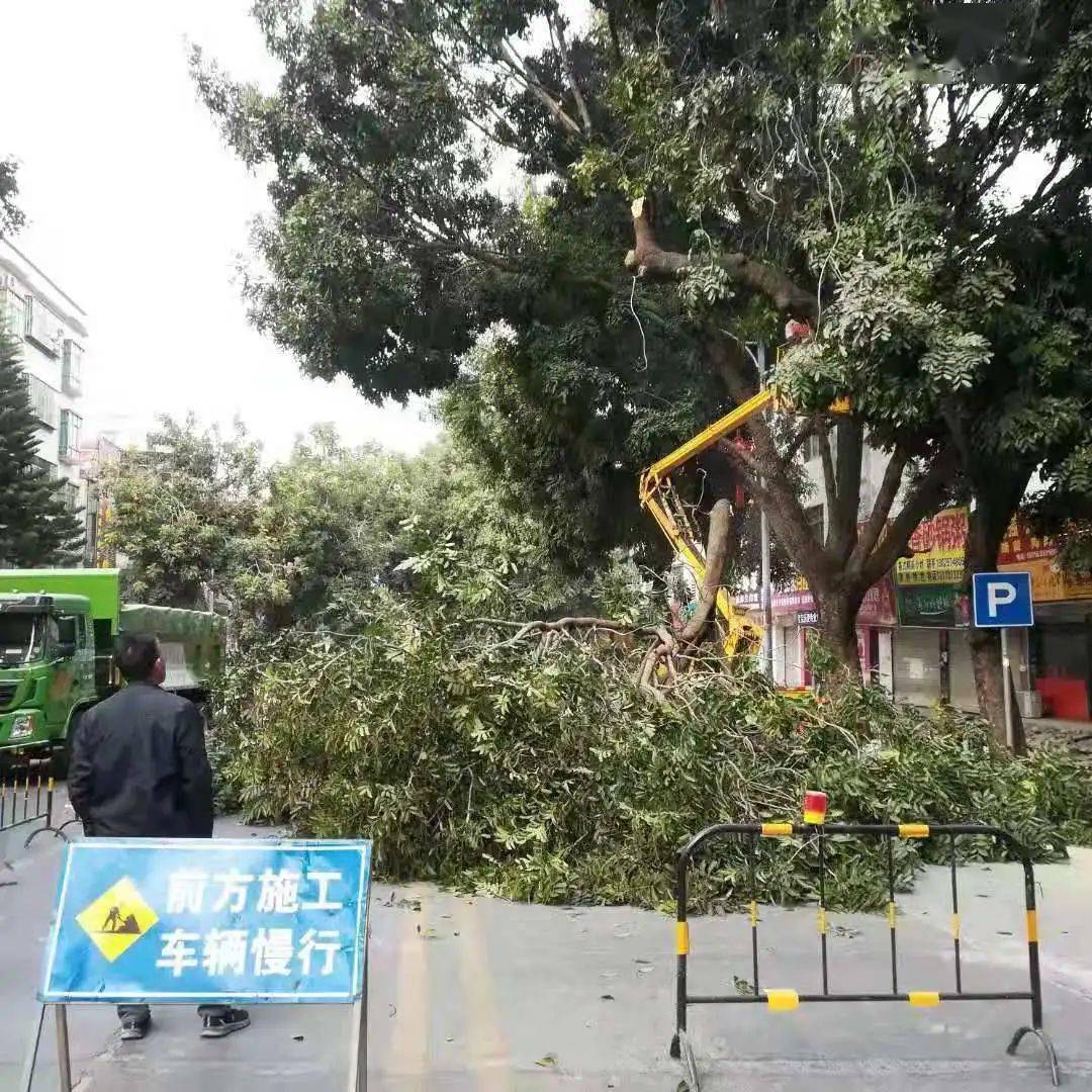 无锡滨湖区各街道人口分布_无锡滨湖区街道照片(3)