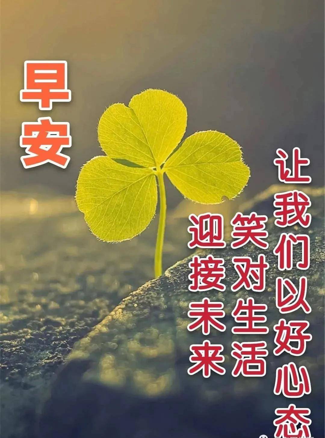 5df54d52a7284f2d893a382f61e7fb62.jpeg