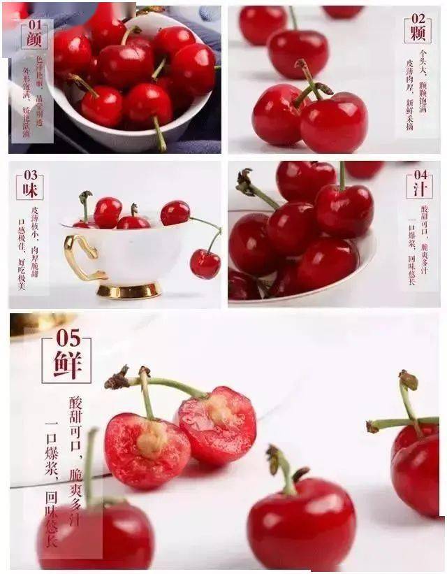 桑提娜智利车厘子139元起享五斤智利车厘子全杭州菜鸟驿站车厘子自提