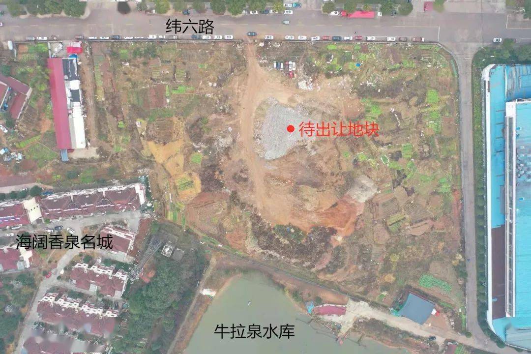 武义丨面积33亩!这片区域新增商住用地,年前将出让