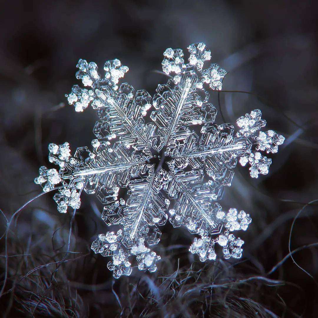 冬天是什么形状?让它来告诉你_雪花