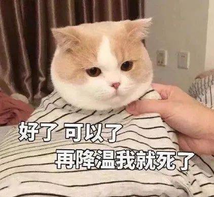 db0d194db33247fa936802b0bdaebbaf.jpeg