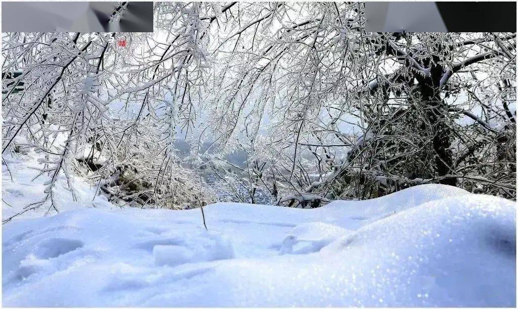 【书香潜川】跨年的雪