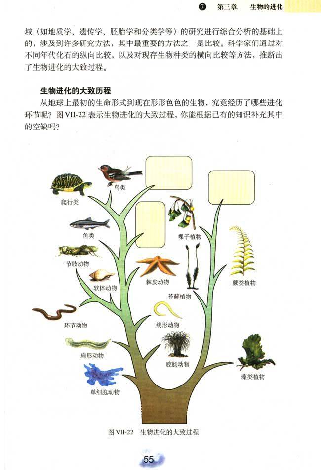 生物 人口_人口老龄化