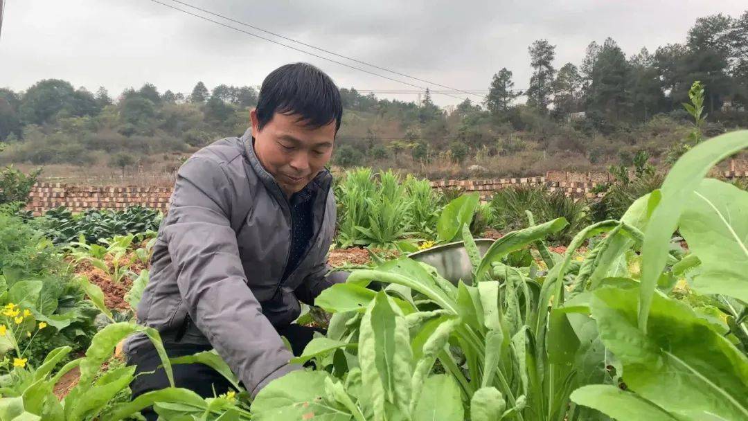 永新龙益民脱贫关键还是靠自己