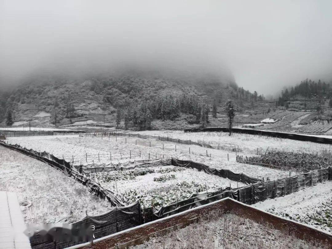 今天,文山多地下雪啦!接下来还有