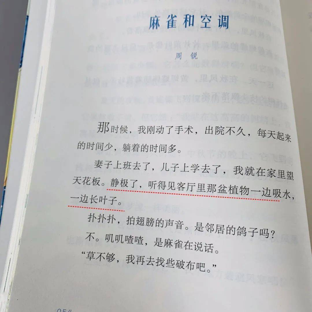 95a455fc1f784500addc66242232f88e.jpeg