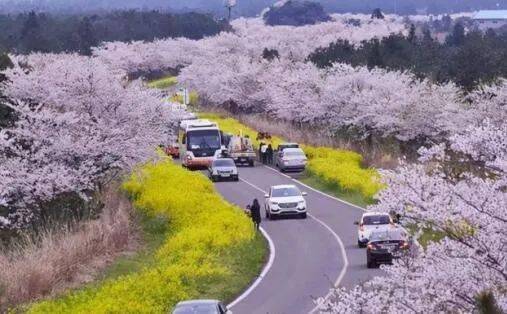 休闲农业与乡村旅游发展规划开云体育 开云平台