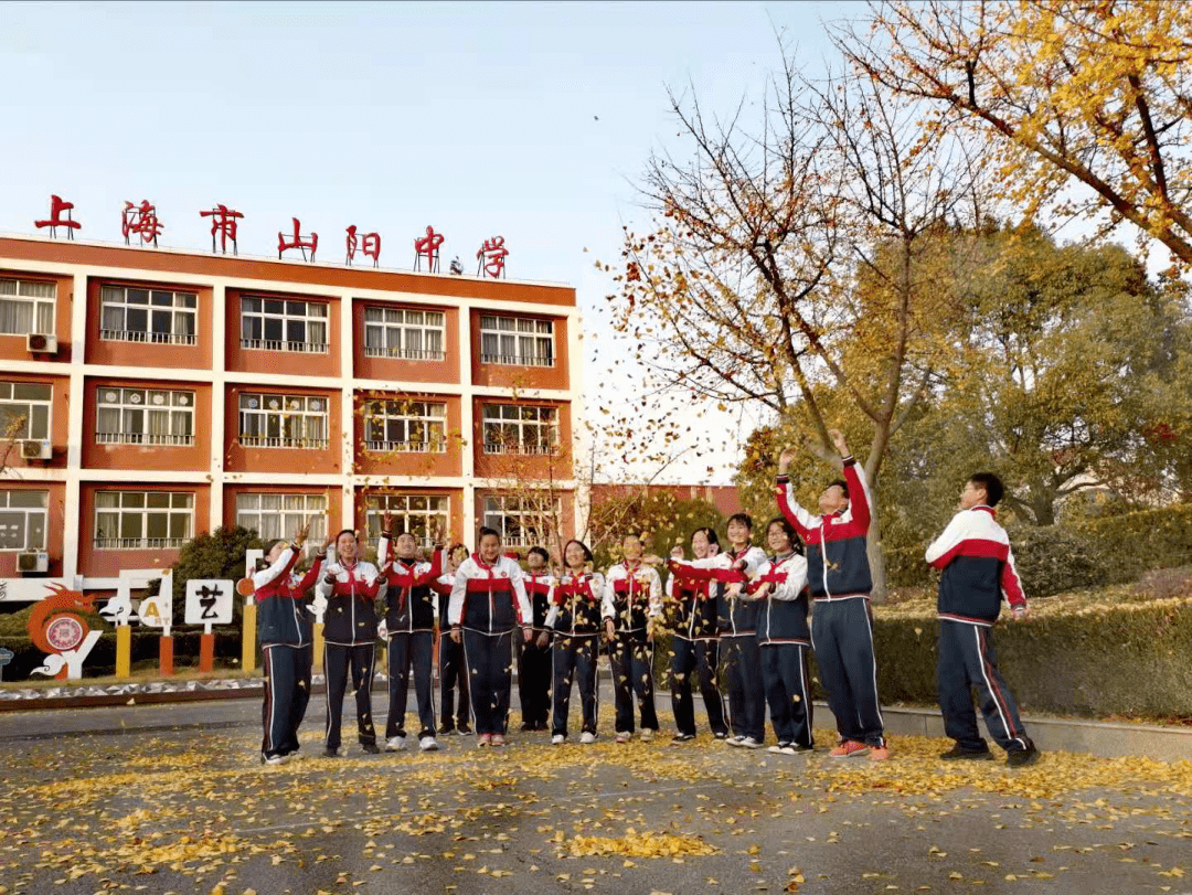 山阳中学:缤纷飘落,翩翩起舞的"黄蝴蝶,点缀成一条通向教学楼的金色